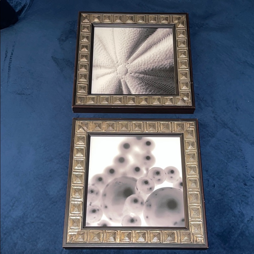 12x12in framed black&white wall art photography